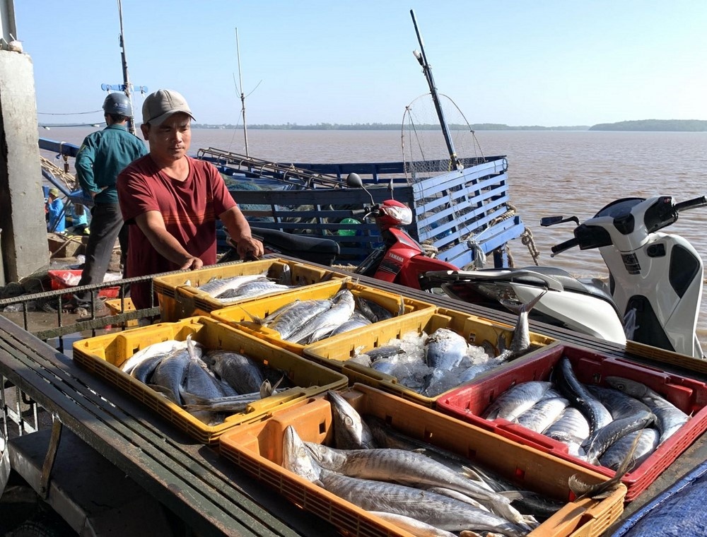 Thu thêm phí xác nhận SC: VASEP nên phản ánh đúng thực tế