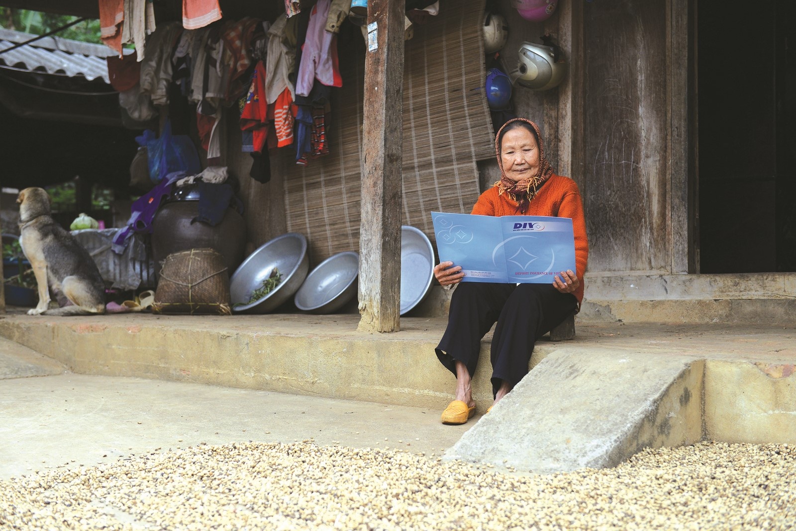 nhip cau noi nhung niem tin