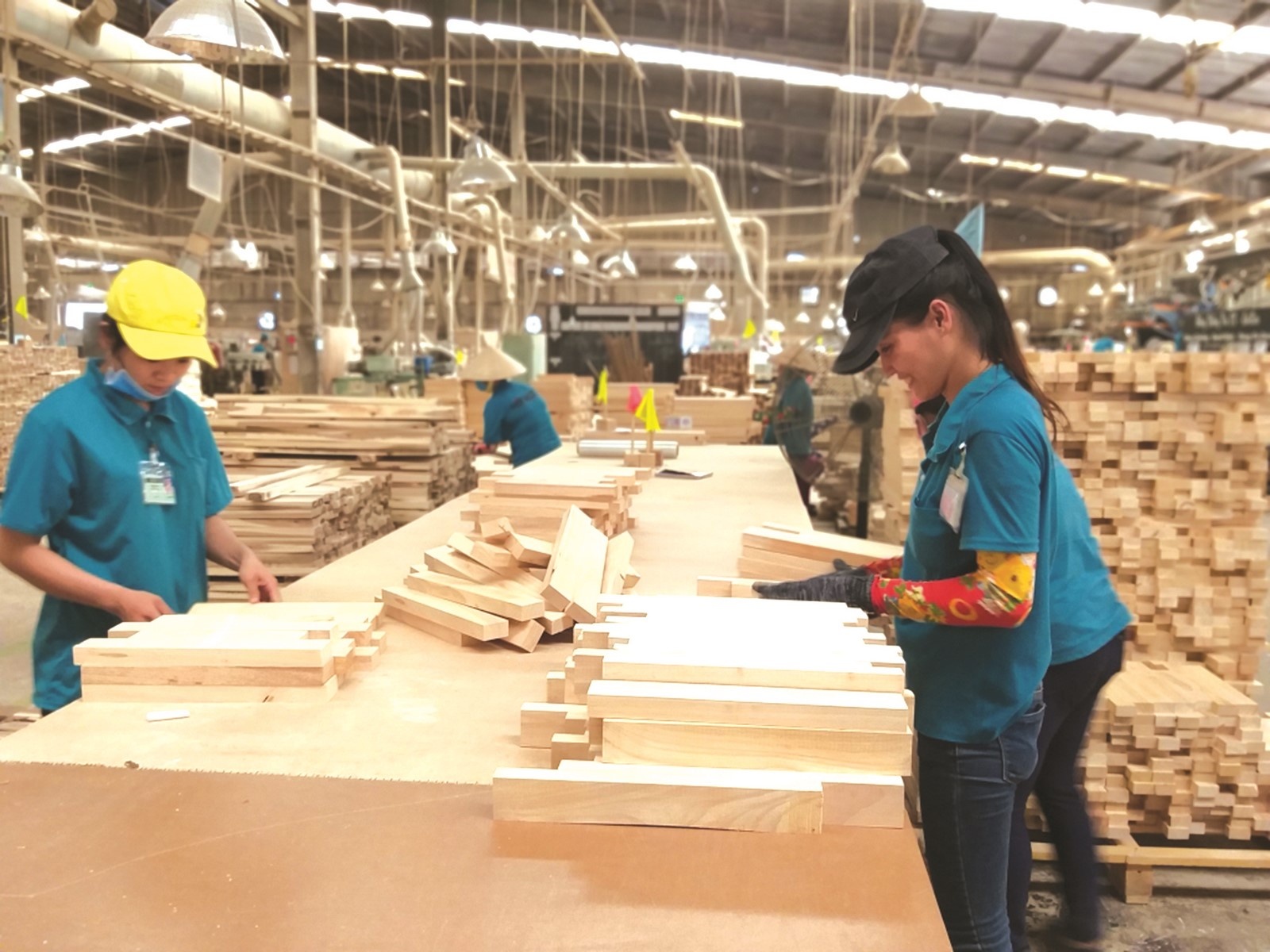 Ngành gỗ bàn cách vượt khó