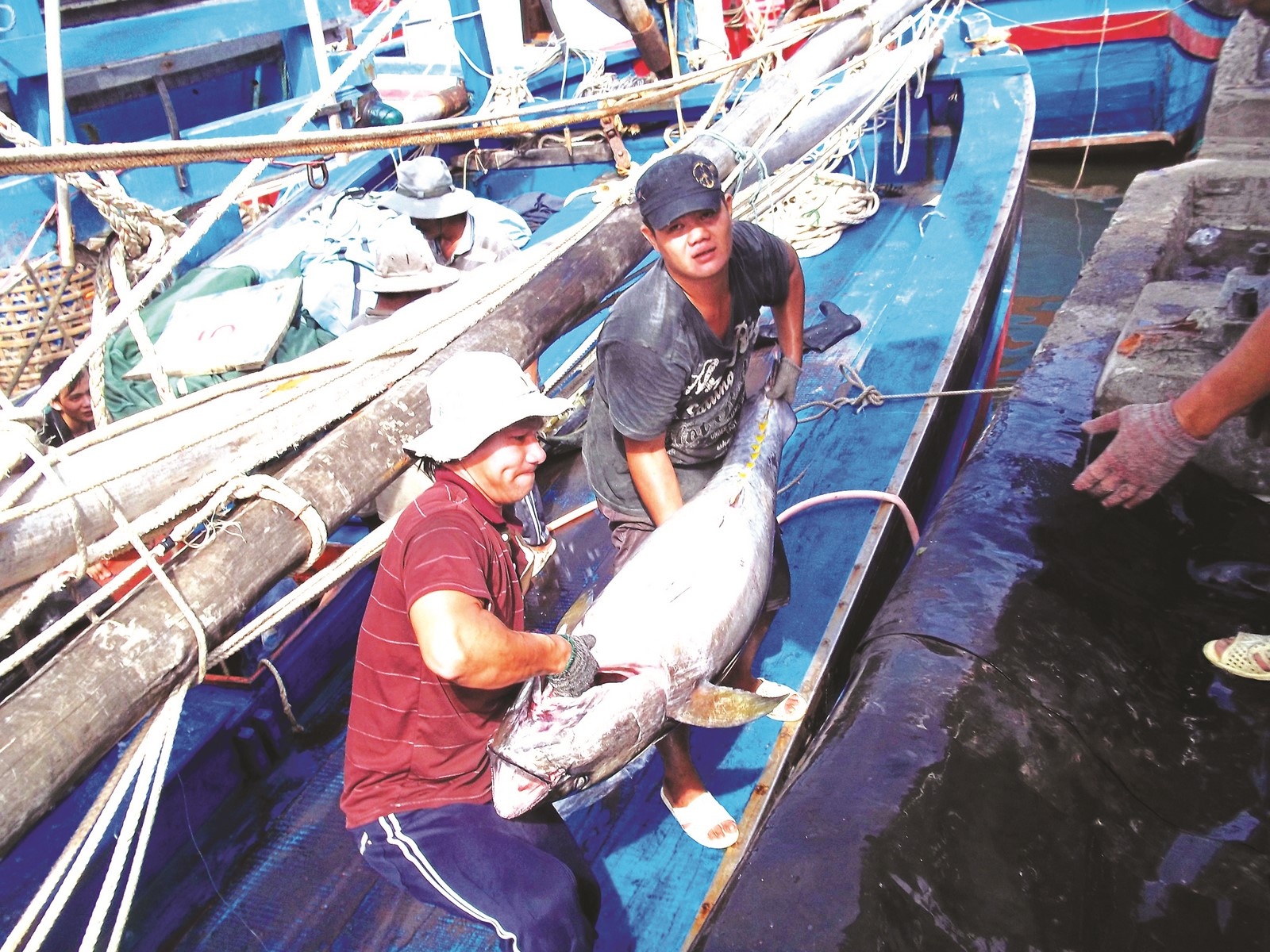 Ngành thủy sản vượt “bão Covid-19”