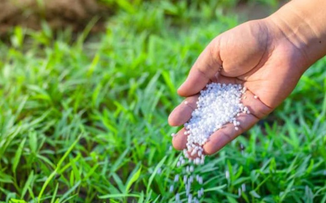 Tìm giải pháp bình ổn thị trường phân bón tim giai phap binh on thi truong phan bon