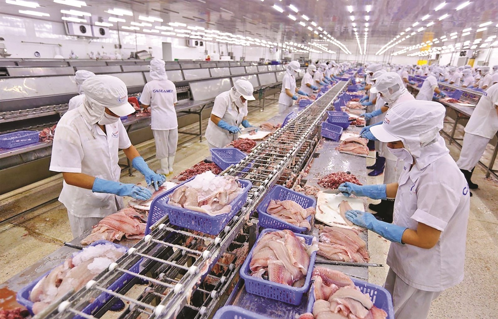 Doanh nghiệp cần môi trường như cần vaccine doanh nghiep can moi truong nhu can vaccine