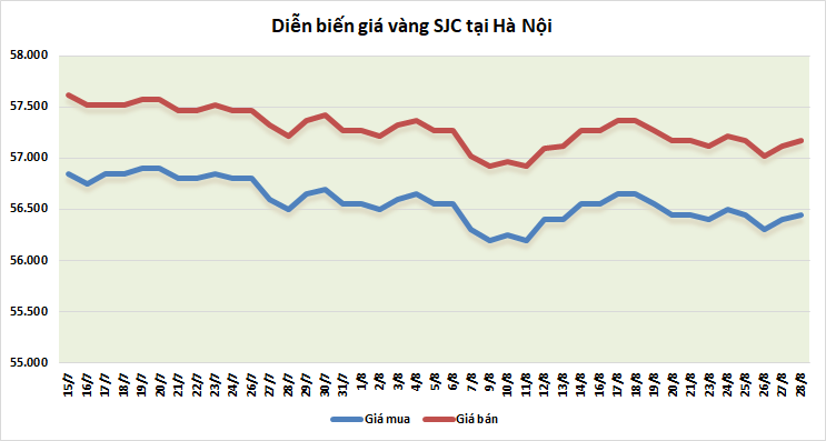 gia vang tuan toi ky vong mot dot tang gia moi