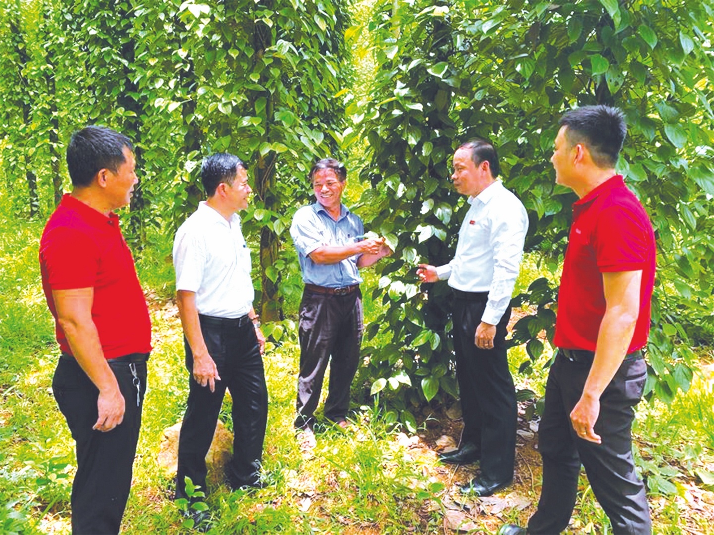 co agribank dong hanh nguoi nong dan loi du dang