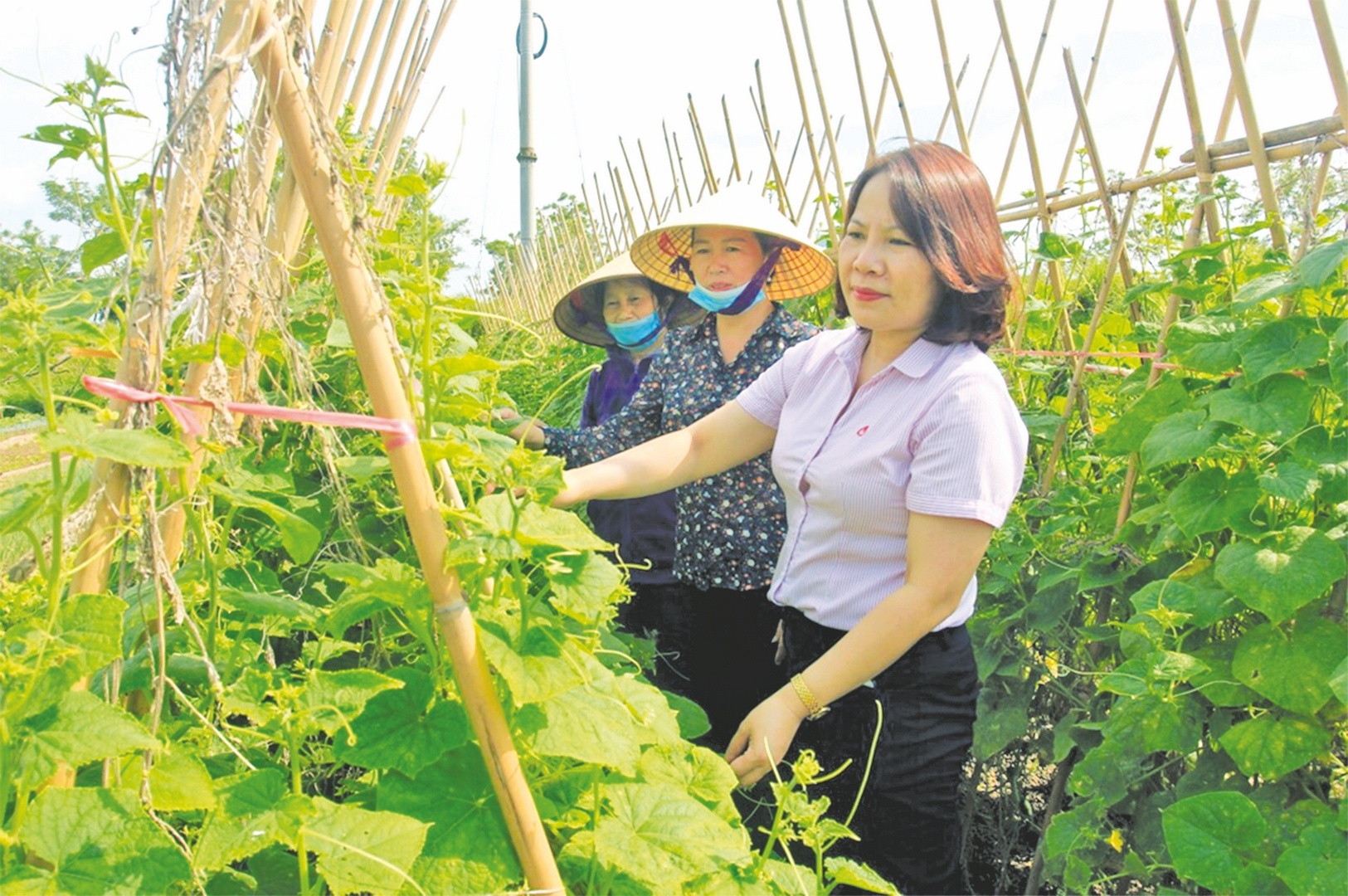 khi von uu dai la chia khoa mo cua thoat ngheo