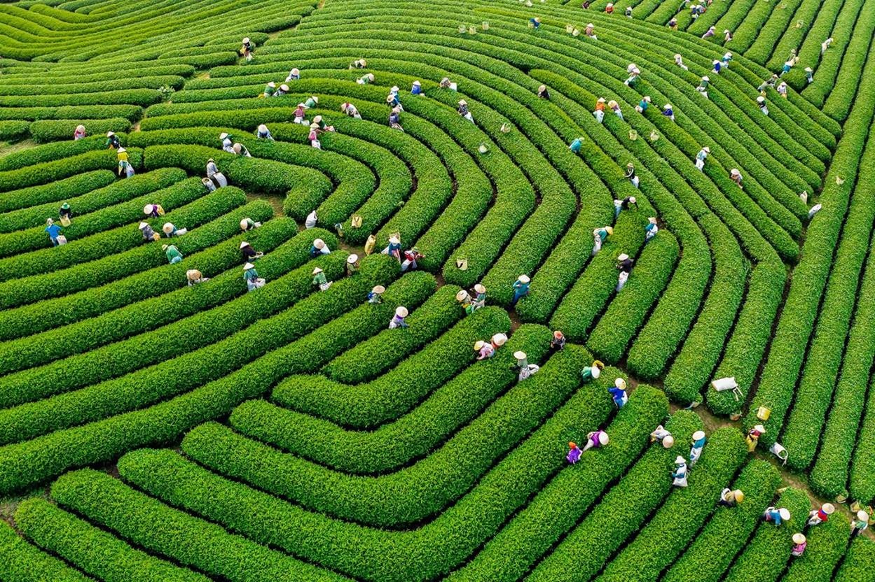 Triển lãm ảnh du, miền núi phía bắc - tiềm năng và cơ hội trien lam anh trung du mien nui phia bac tiem nang va co hoi