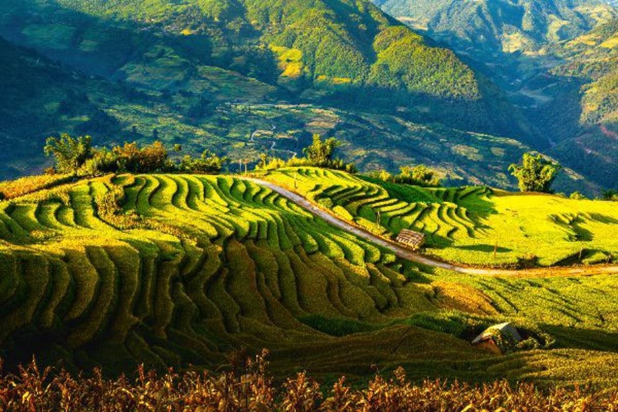 Triển lãm ảnh du, miền núi phía bắc - tiềm năng và cơ hội trien lam anh trung du mien nui phia bac tiem nang va co hoi