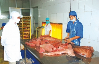 Gia tăng giá trị xuất khẩu cá ngừ đại dương