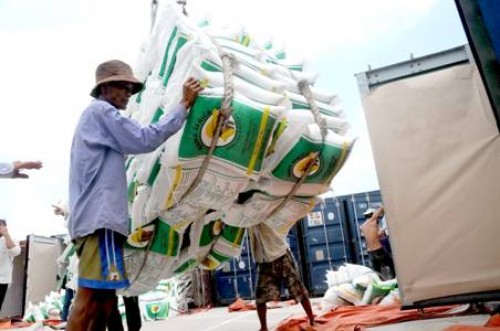 Việt Nam trúng thầu xuất khẩu 150.000 tấn gạo sang Philippines