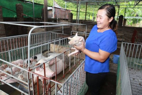 Giảm nghèo trên miền biên thùy Cao Bằng