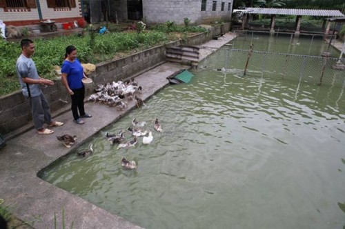 Giảm nghèo trên miền biên thùy Cao Bằng