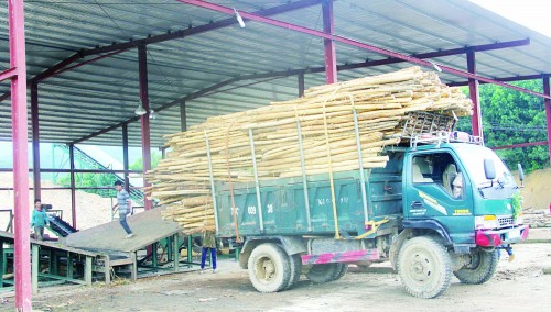 PCI và những việc phải làm