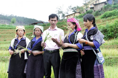 Kênh tín dụng quan trọng trên hành trình giảm nghèo tại Yên Bái Kênh tín dụng quan trọng trên hành trình giảm nghèo tại Yên Bái