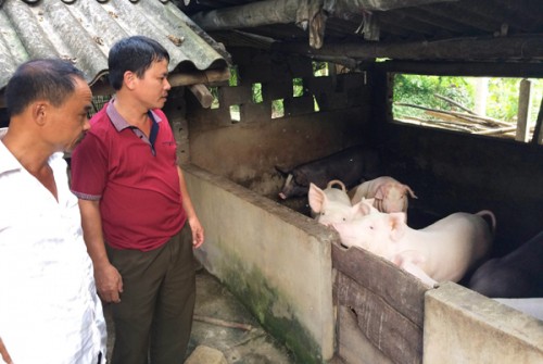 Người Tổ trưởng hết lòng vì sự nghiệp giảm nghèo