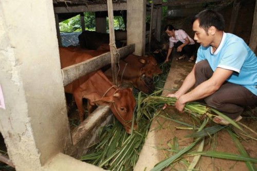 Giảm nghèo bền vững ở huyện “Ba mươi a”