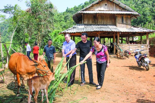 NHCSXH Chi nhánh Sơn La: Góp phần tô thắm cuộc sống đồng bào dân tộc