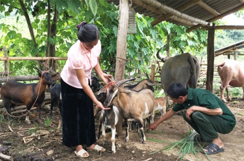 Mang vốn chính sách đến với bản làng