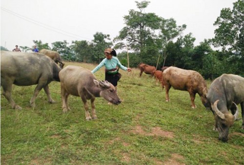 Tất cả vì tổ viên nghèo Tất cả vì tổ viên nghèo