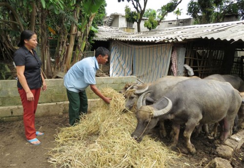 Chung tay giảm nghèo bền vững ở huyện Kim Bôi