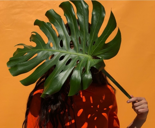 Apple công bố bộ ảnh chụp từ iPhone 8, 8 Plus, iPhone X