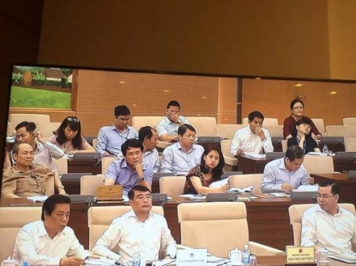 Nên miễn trách nhiệm đối với người tham gia cơ cấu lại TCTD kiểm soát đặc biệt