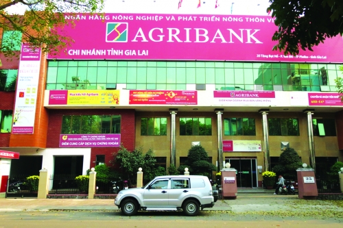 Phía sau thành công của những nông dân phố núi...