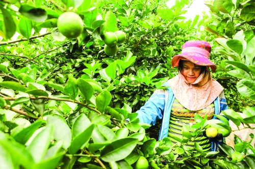 Không để CMCN 4.0 bỏ rơi người nghèo