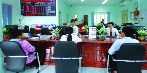 Cần điểm tựa cho cây hồ tiêu