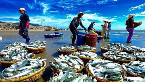Tăng lượng hàng thủy sản bán ở nội địa