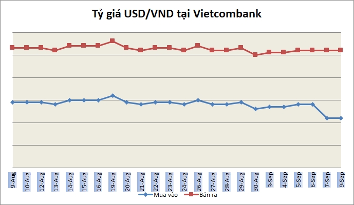 Tỷ giá ngày 9/9: Không nhiều biến động