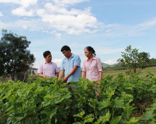 Krông Nô giảm nghèo nhờ vốn chính sách