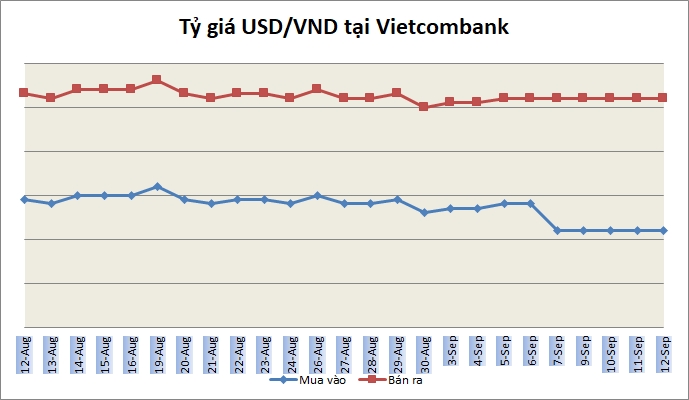 Tỷ giá ngày 12/9: Không nhiều biến động