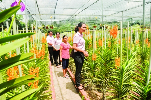 Tín dụng chính sách đi vào thực tiễn Tín dụng chính sách đi vào thực tiễn