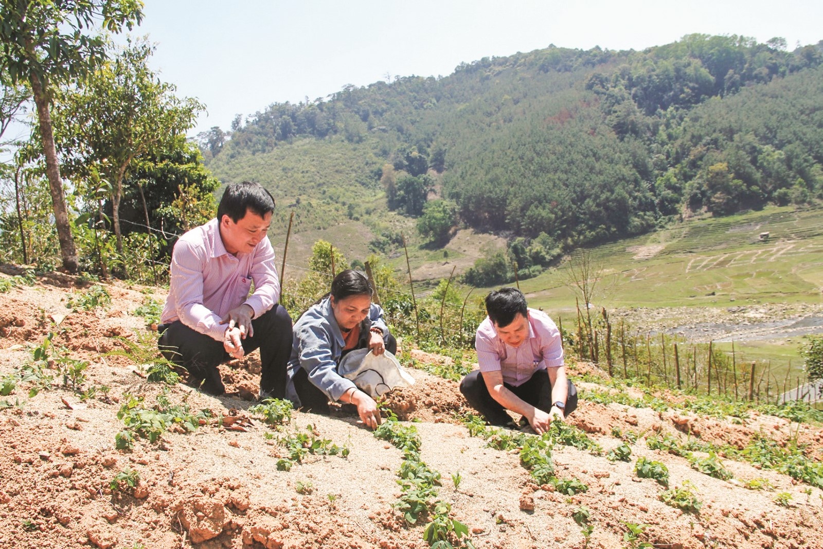 Tín dụng ưu đãi: Nguồn lực quan trọng giúp Tu Mơ Rông giảm nghèo