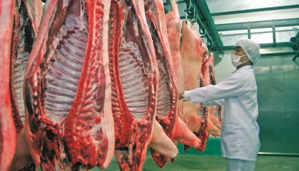 Ngành chăn nuôi trước sóng gió hội nhập