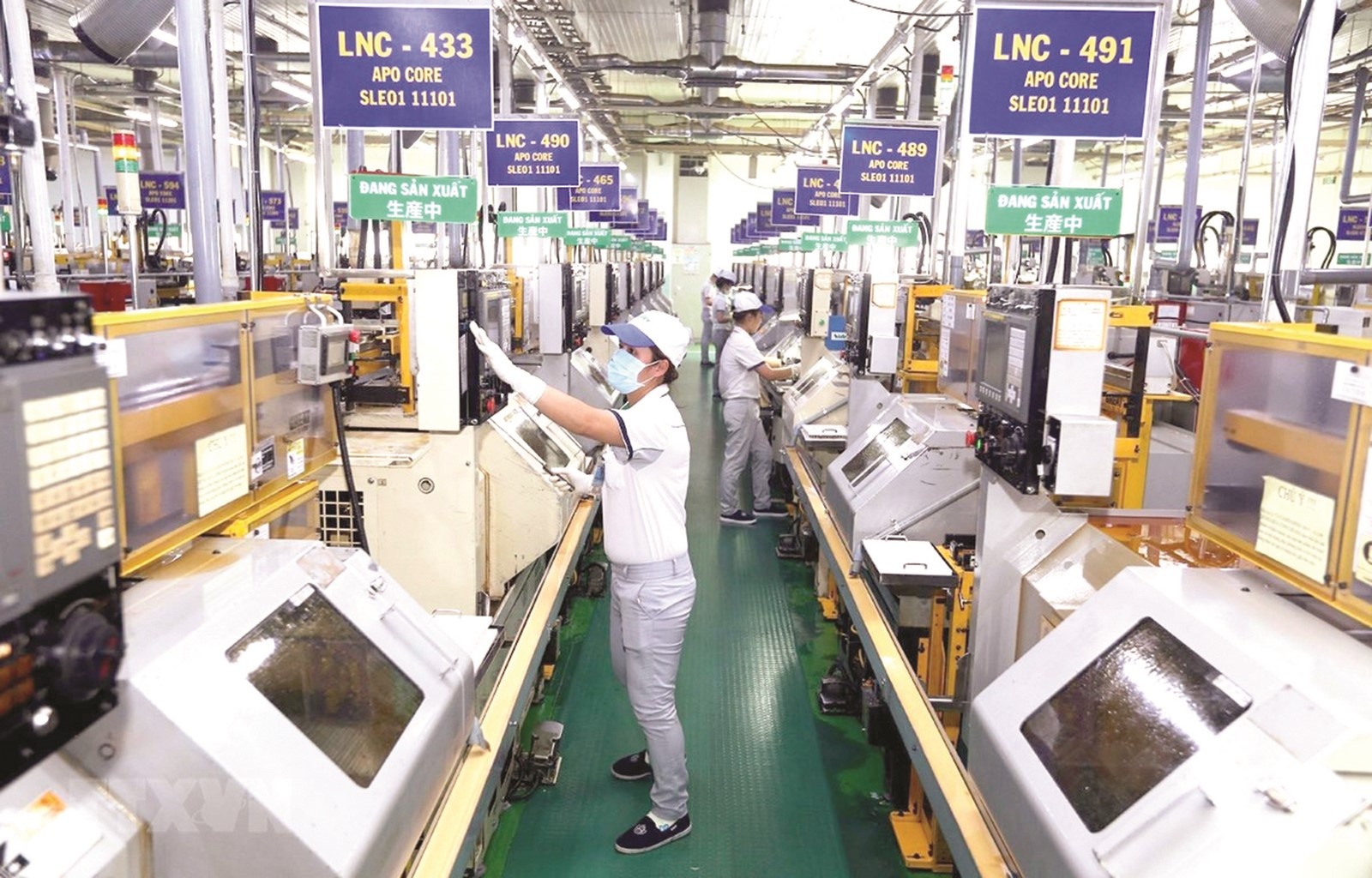 doanh nghiep kien cuong vuot bao