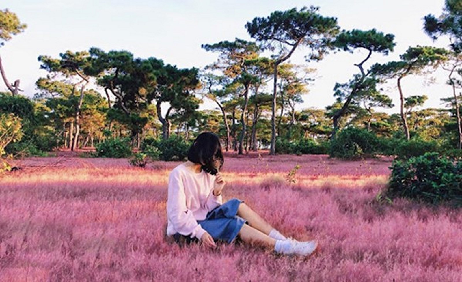 Gia Lai: Những điểm đến đẹp như tranh giữa đại ngàn gia lai nhung diem den dep nhu tranh giua dai ngan