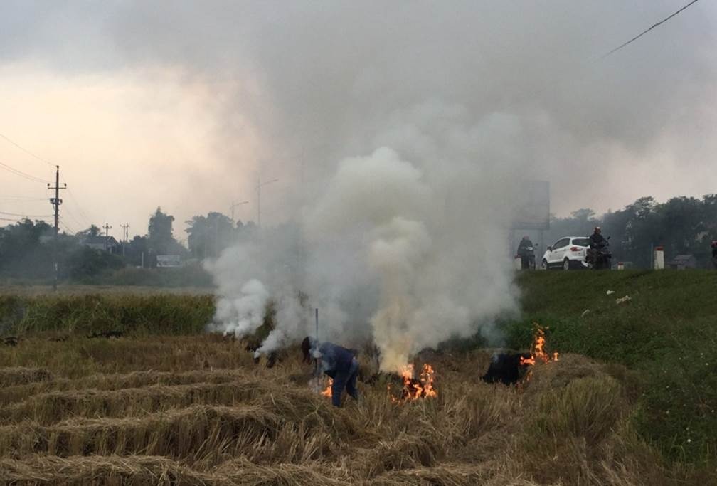 phu pham nong nghiep mo vang chua duoc khai thac