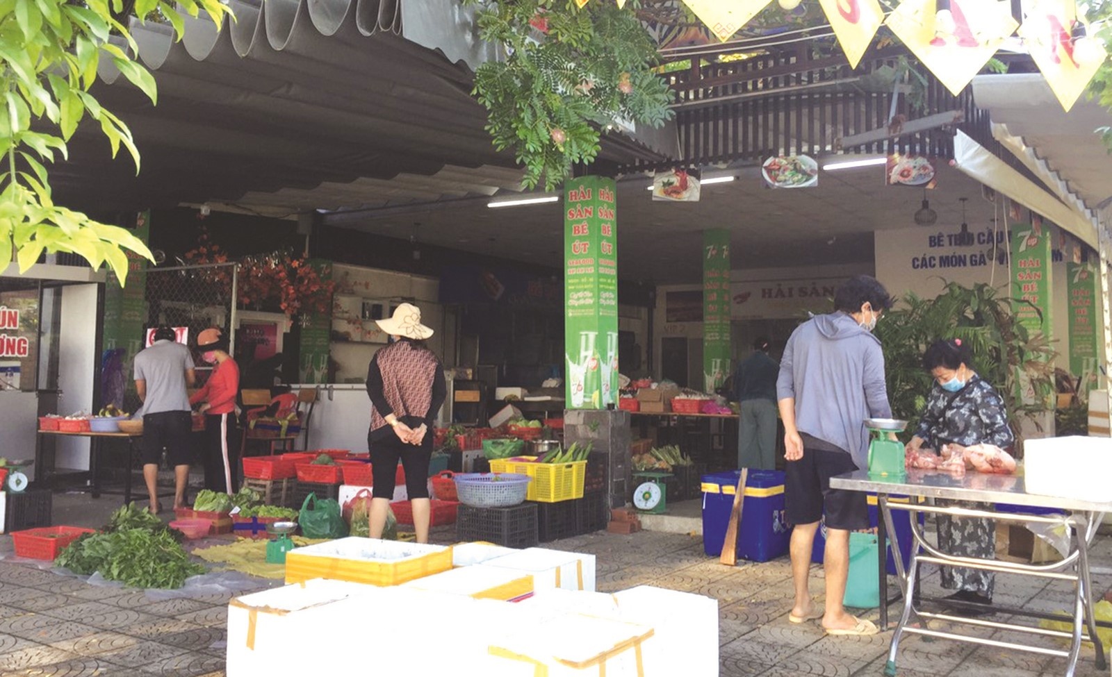 de dat mua ban trong vung xanh