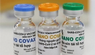 Hội đồng Đạo đức: Chưa có dữ liệu để đánh giá trực tiếp hiệu lực bảo vệ của vaccine Nanocovax