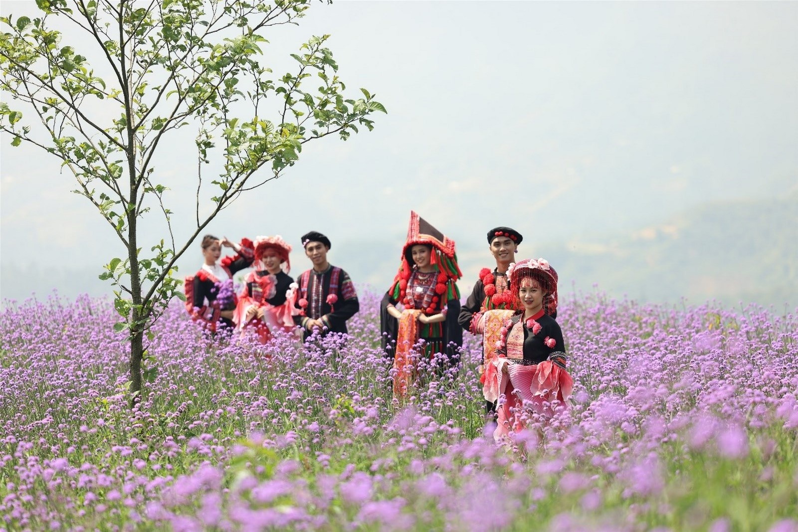 sa pa mua thu bo bua du khach