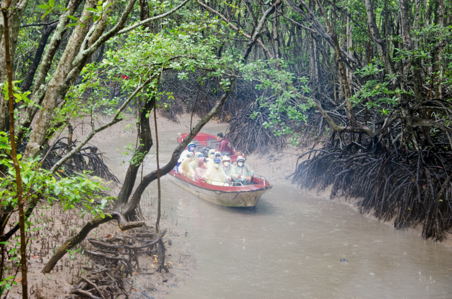 Saigontourist tổ chức tour trải nghiệm Cần Giờ, Củ Chi tri ân y bác sĩ lực lượng tuyến đầu lu hanh saigontourist to chuc tour trai nghiem can gio cu chi tri an y bac si luc luong tuyen dau