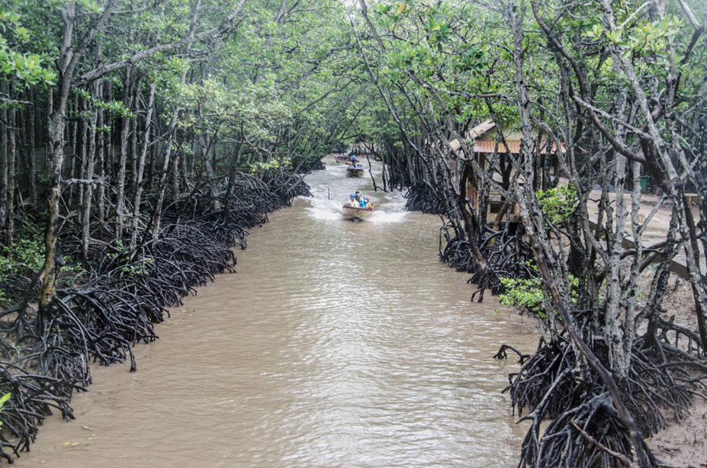 Saigontourist tổ chức tour trải nghiệm Cần Giờ, Củ Chi tri ân y bác sĩ lực lượng tuyến đầu lu hanh saigontourist to chuc tour trai nghiem can gio cu chi tri an y bac si luc luong tuyen dau