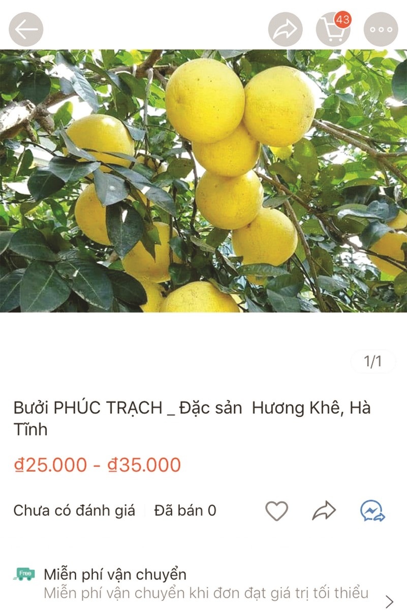 nong san tap nap len cho mang