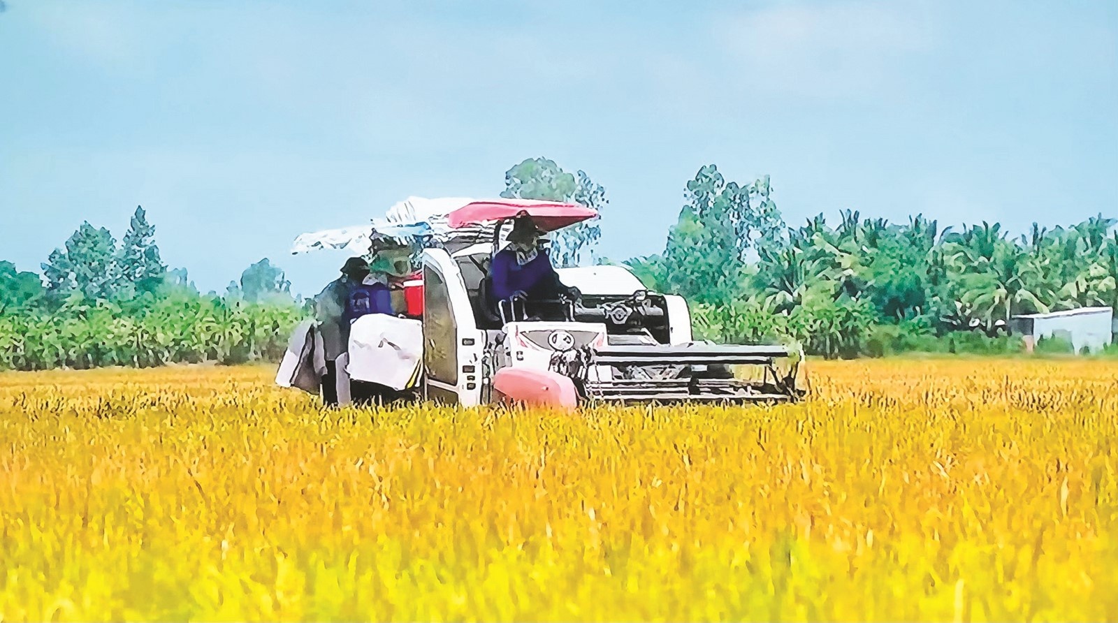 nang luong xanh phat trien ben vung