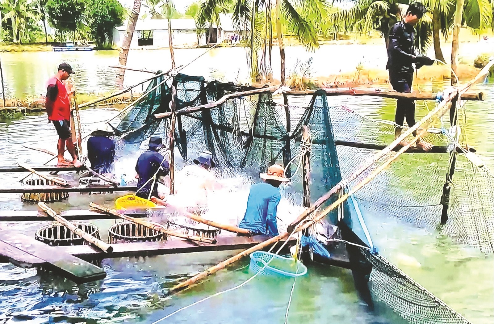 thuc day phat trien chuoi ca tra