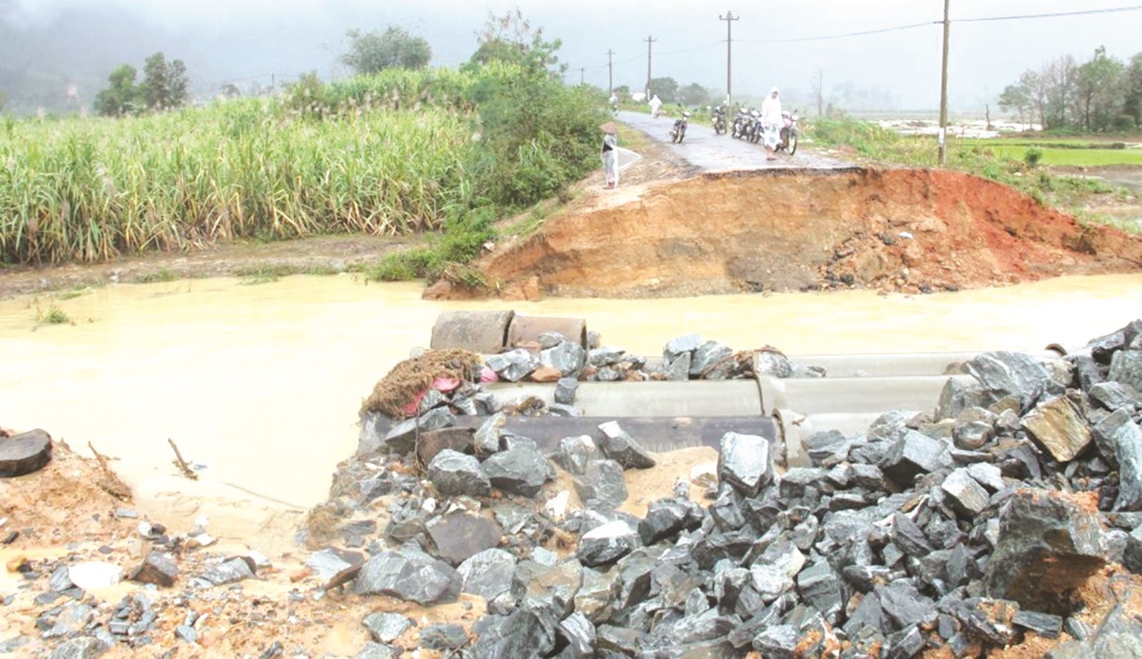 thien tai gay thiet hai nang cho san xuat nong nghiep