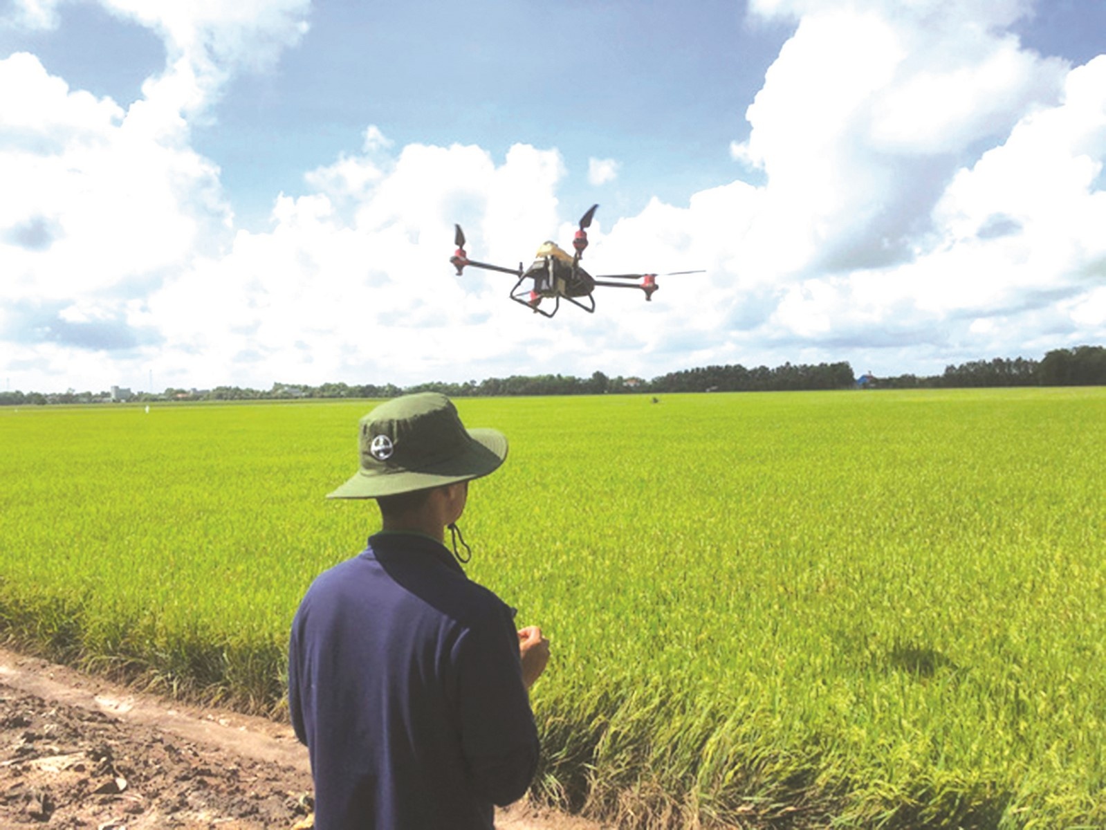 “Thang thuốc” hiệu quả cho nông nghiệp Việt Nam thang thuoc hieu qua cho nong nghiep viet nam