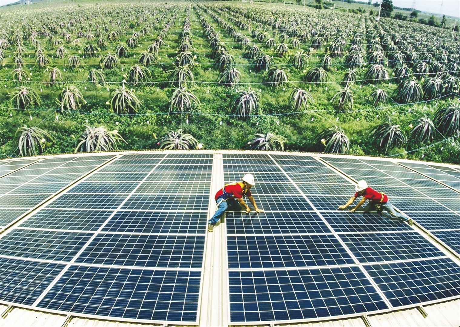 Còn nhiều lối để huy động tài chính xanh con nhieu loi de huy dong tai chinh xanh