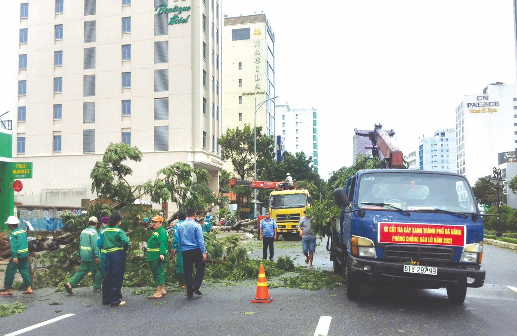 ung pho voi thien tai nhin tu bao noru